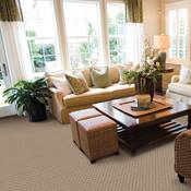 finstads-carpet-one-floor-home-helena-mt-resista